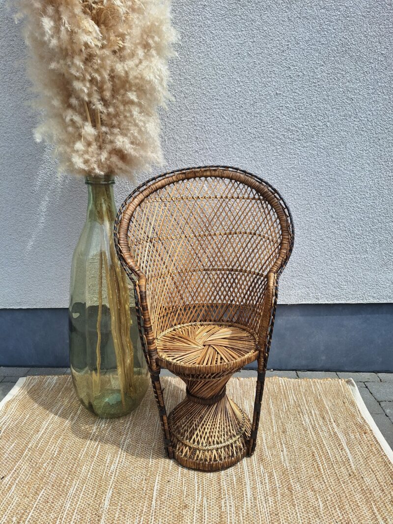 Rotan peacock stoel kind